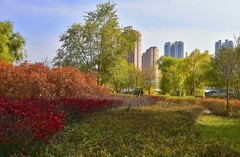 兰州滨河  色彩斑斓