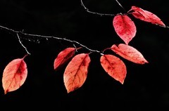 兰州滨河  色彩斑斓