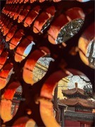 2025年-北京贤良祠纪实拍-1187