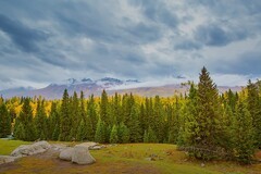 新疆喀纳斯风景29