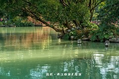 桂林 · 两江四湖之榕湖