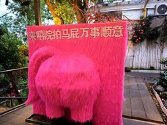 漫步星城 （1060）万事顺意