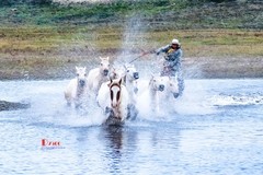 慢门飞马踏水（27）