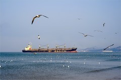 2026年第0435贴 -威海海滨风光（0625）