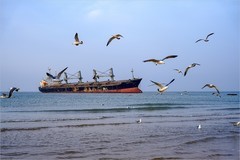2026年第0435贴 -威海海滨风光（0625）