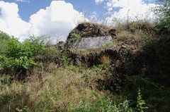 探访云南拉市茶马古道