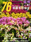 美食与鲜花送师友---新年快乐！