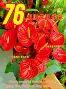 美食与鲜花送师友---新年快乐！