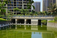 1292【不老松：二游海南纪实】临高长島兰湾美景！ (10)