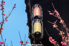 皋亭千桃园（1）