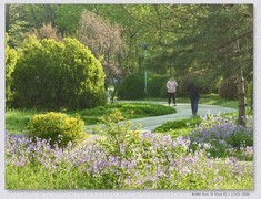 春暖花开【丙午年-062】