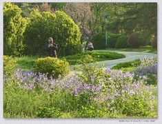 春暖花开【丙午年-062】