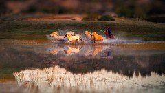 旅途中一一走进塞罕坝的将军泡子