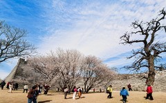 手机游拍20260319《22》