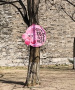 手机游拍20260319《22》