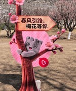 手机游拍20260319《22》