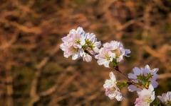 手机游拍20260316《23》