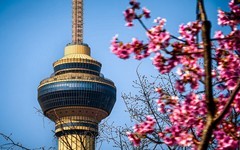 手机游拍20260316《23》