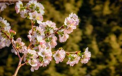 手机游拍20260316《23》