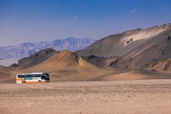 外出随拍（744）.