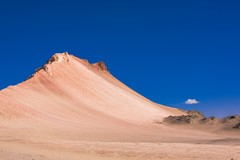 外出随拍（744）.