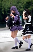 定点抓拍  931