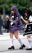 定点抓拍  931