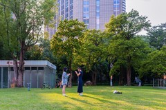 公园里的风景