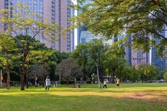 公园里的风景