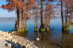 洱海风光-—龙龛古渡码头