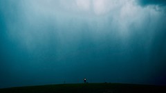 旅途中一一昭苏特克斯河国家湿地公园