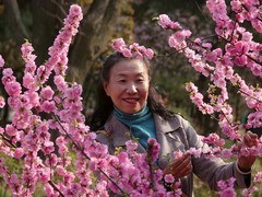 桃花岛上的游客