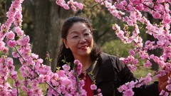 桃花岛上的游客