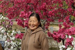 桃花岛上的游客