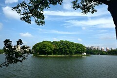 夏景（续2）