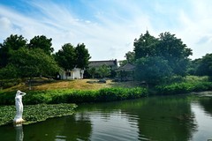 夏景（续2）