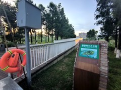 漫步星城 （1110）平缓亲水   步步皆景