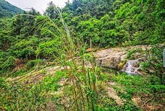 深圳马峦山郊野公园 掠影