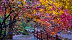 本 溪 关 门 山 秋 色 （ 四 ）