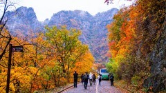 本 溪 关 门 山 秋 色 （ 四 ）
