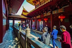 深圳弘法寺 掠影