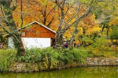 2025年第0912贴-苏州天平山红枫季旅拍（1231）