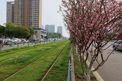 光谷天地（三）