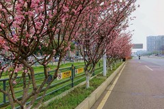 光谷天地（三）