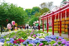 清明时节 鲜花奠祭