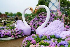 清明时节 鲜花奠祭