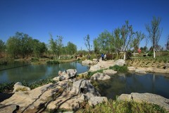 春光明媚——踏青的好时节