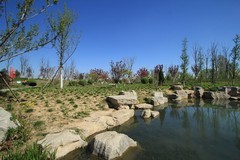 春光明媚——踏青的好时节