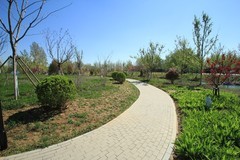 春光明媚——踏青的好时节