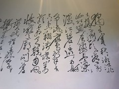 漫步星城 （1065）开门见嘻
